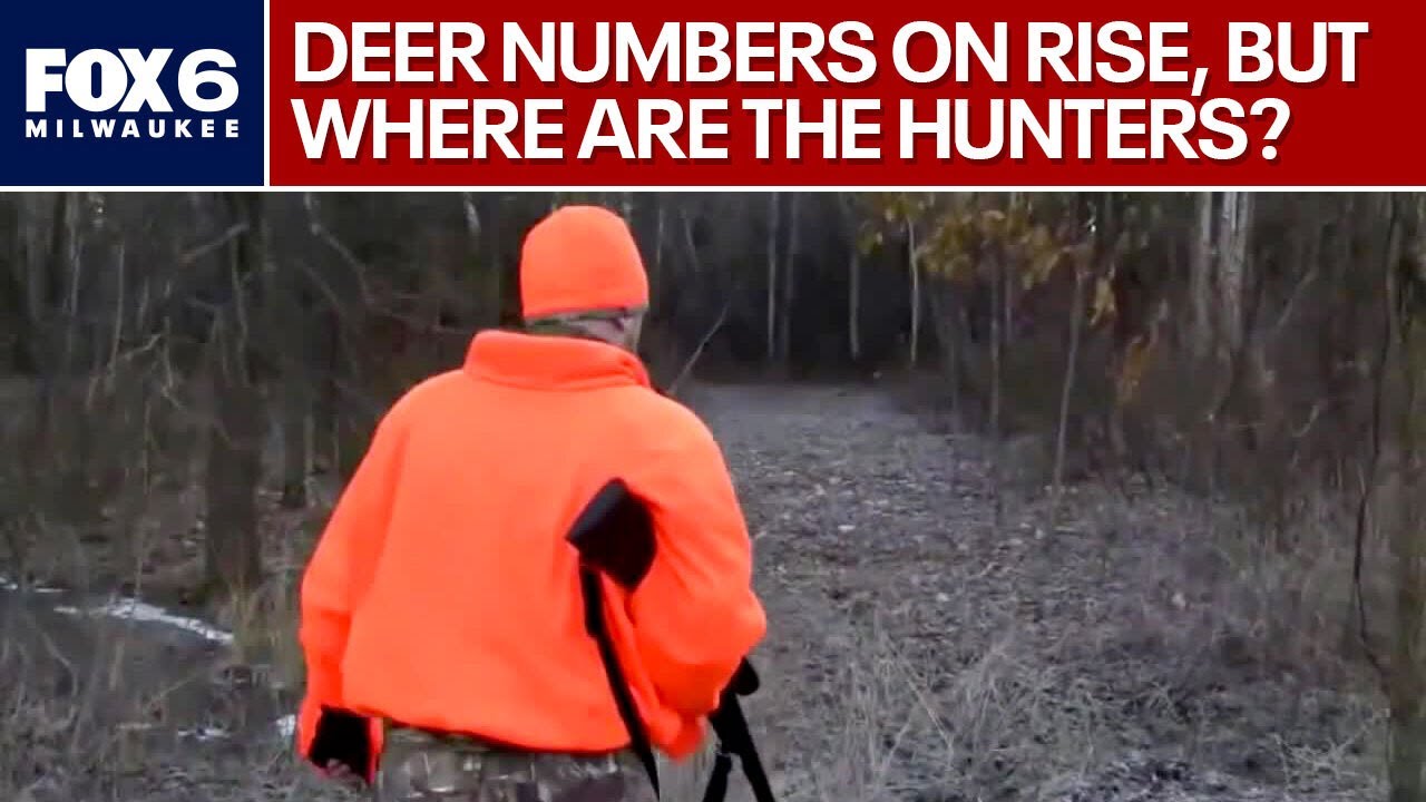 Wisconsin gun deer season; number of hunters on the decline | FOX6 News Milwaukee