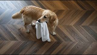Allure Chevron Vinyl Flooring - Designer Flooring: Family & Pet Approved