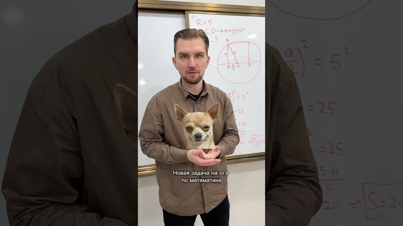 ♨️Свежак на ОГЭ 2026🏌🏻 #shorts   #математика #огэ #задача