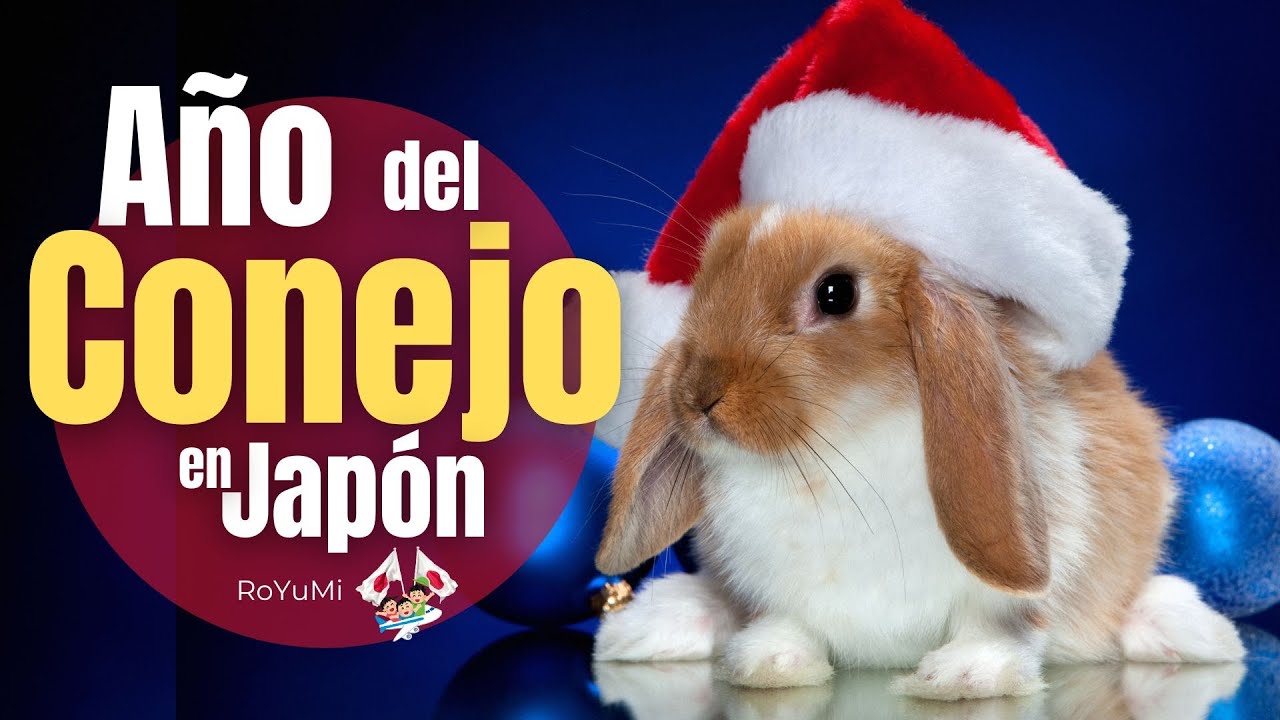 Qué Nos Espera en el Año del Conejo 2023 en Japón