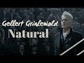 Natural - Gellert Grindelwald || MV