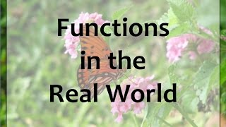 Functions in the Real World