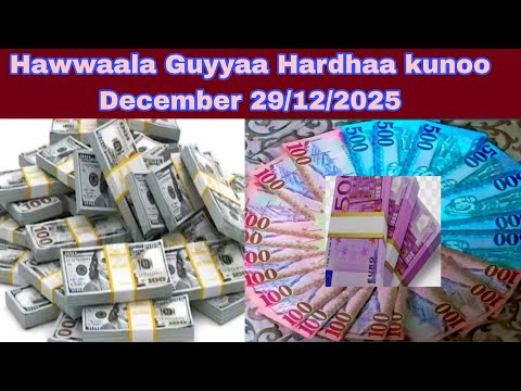 Hawwaalan Guyyaa Hardhaa Kanarra Ga Eera December 29 12 2025 