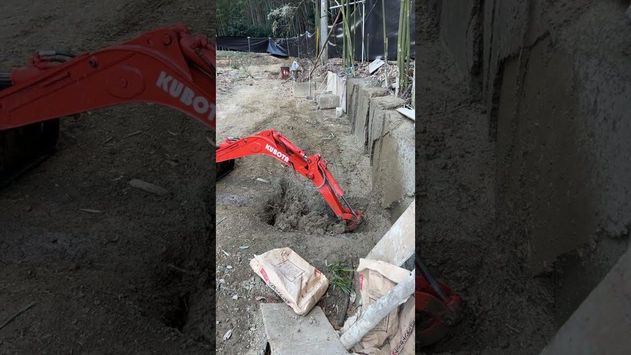 Live: Battle of the Backyard: Excavator vs Nature #98 | God of Ruin akkiro0m