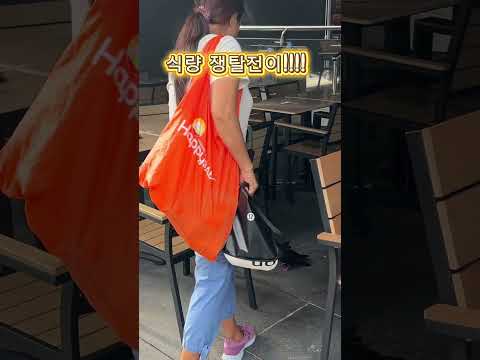 아침식사 털렸어요😨 | 다가올 때부터 알아봤어야 하는데!!!! | 비둘기에게 뺏긴 아침밥 | #비둘기 #아침밥상 #난입