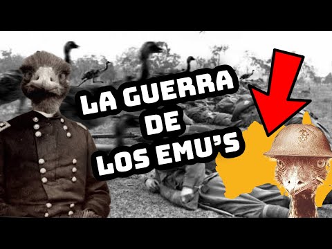 The Emu War