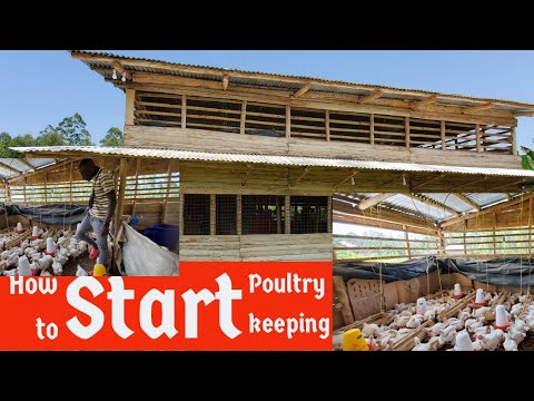 How to start a successful Poultry keeping with little money in 2024 | # ...