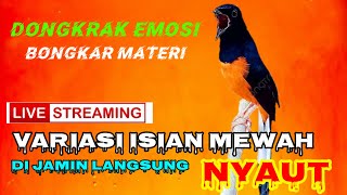 Download Lagu Kretekan Hutan murai batu paling Ampuh bikin semua lawan langsung emosi//Di jamin emosi seketika. MP3
