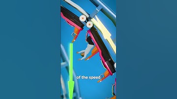 Roller Coaster Without A Harness? 😨