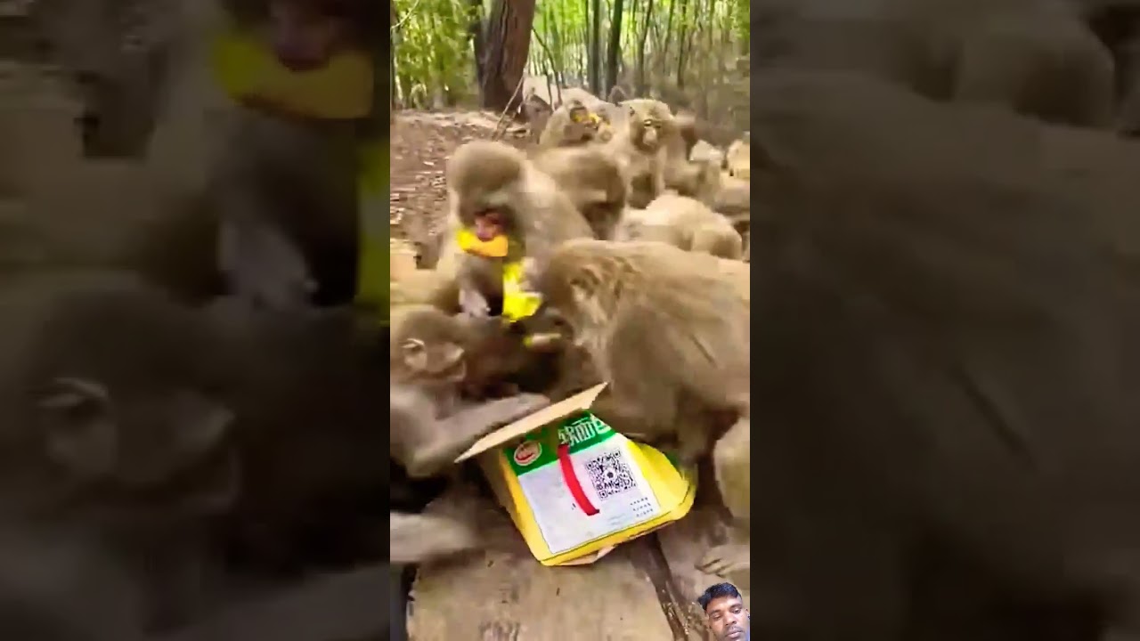 loot lo ♥️😃😃