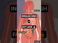Insulin Hormone Aur Fat Loss | High Insulin = Belly Fat #bellyfat