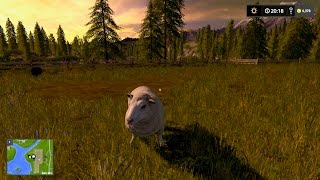 Farming Simulator 17 - #3 Feeding the sheep and wool - Gameplay