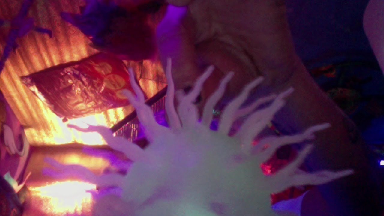 SpAcEbEaSt 2021 FreEdOm 4 all