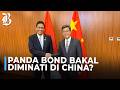 Terbit Awal Juli 2026, Kemenkeu: Panda Bond Banyak Peminat!
