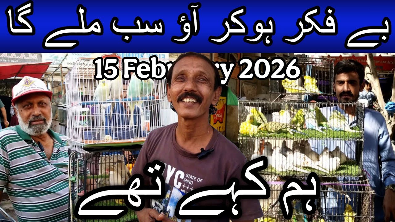 Lalukhet birds market part 2 15 February 2026 | Cheapest price birds in Karachi Pakistan