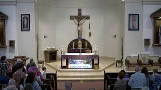 The Samaritan Woman and Our Lenten Journey of Honest Conversion