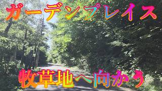 いい夏山陰 8月7日 金曜 晴れ 森林住宅の街 #ガーデンプレイス 牧草地へ向かう 日本 鳥取県西伯郡伯耆町丸山 大山ガーデンプレイス @WalkingYoshi