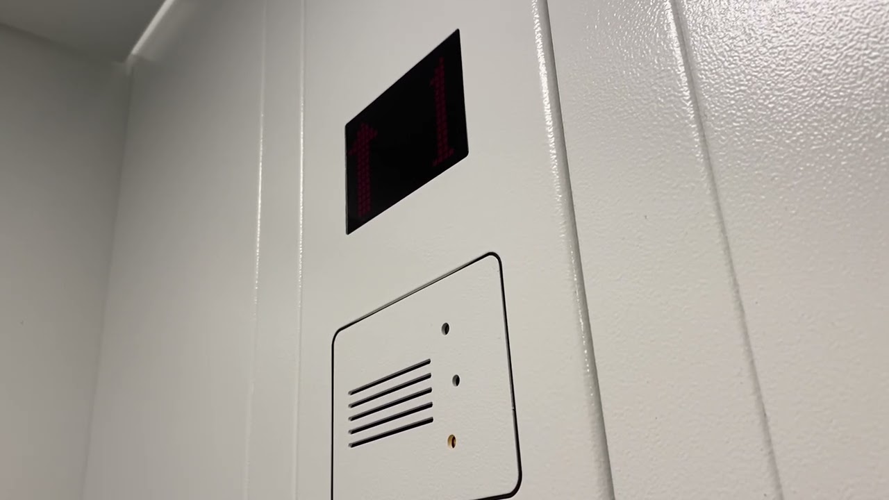 Byrne Lift, Alo Yoga, Grafton St, Dublin