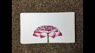 IAT 110 Final Project: the Bloom