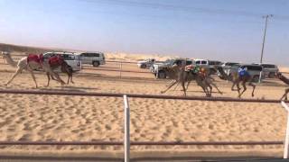 شاهين ل هلال رشيد العنزي ينتزع شوط القعدان المفاريد من م التوقيت  
