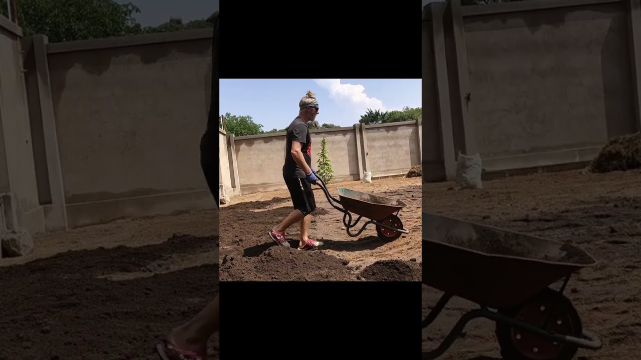 Preparation of Our Garden I Stone Cracking, Soil distribution, Grass & Watering 🌱