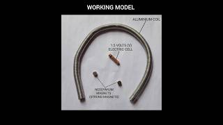 ELECTRIC CELL + MAGNET ➜ RUNNING TRAIN (LORENTZ FORCE DEMONSTRATION)
