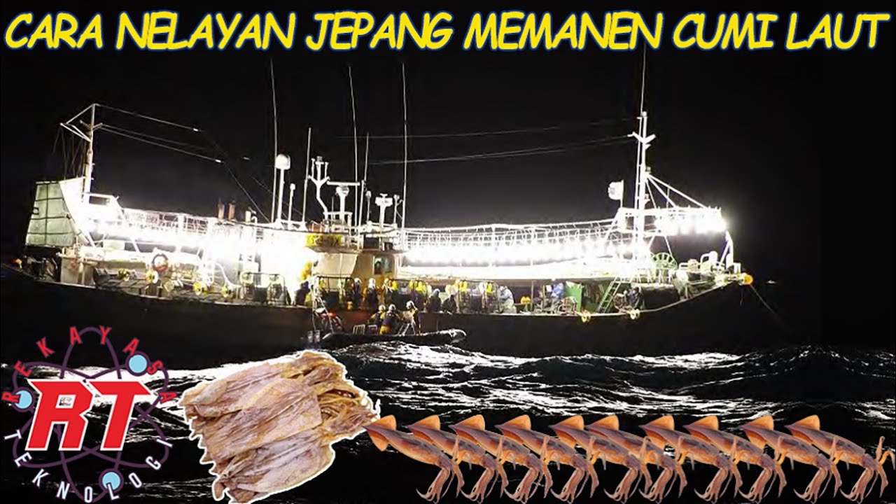 TEKNIK GILA! MENANGKAP CUMI CUMI PAKAI LAMPU DI TENGAH LAUT JEPANG