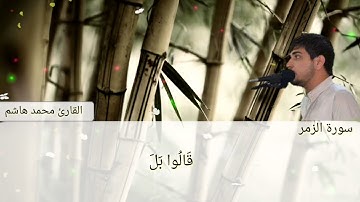 القارئ محمد هاشم ///ماتيسر  م̷ـــِْن سورة الزمر