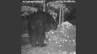 Don't Wanna be Right Anymore - Waylon Napadogan