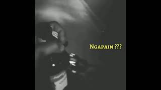 Storywa Anggur Gingseng Kolesom😊