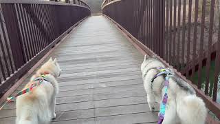 Well Cross That Bridge