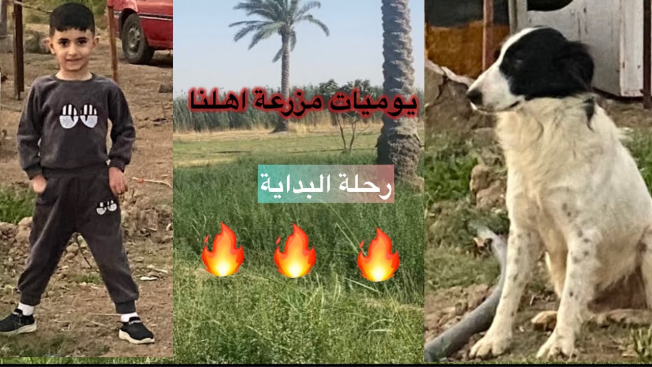 اول فديو  بمزرعتنا يوم مليان مغامرات اجواء ريفية 