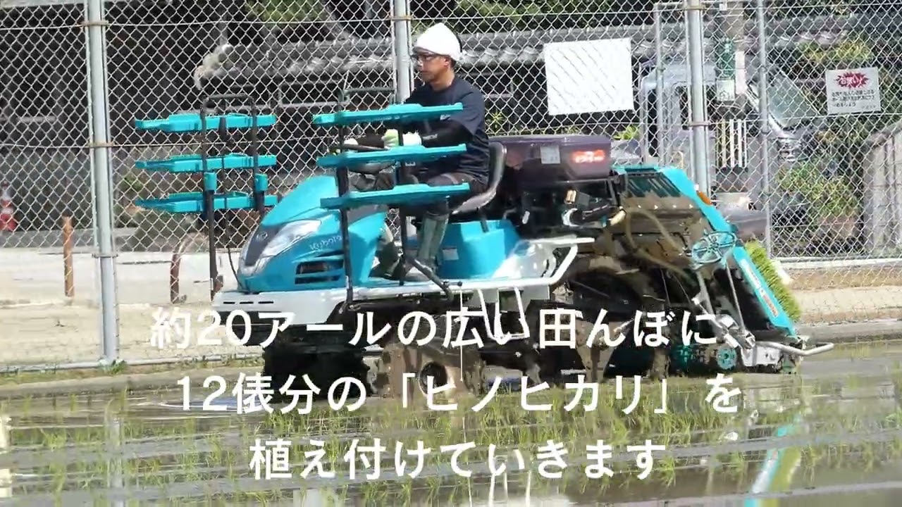 お米の種類は「ヒノヒカリ」 - YouTube