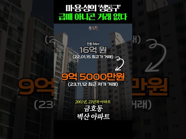 마·용·성의 '성동구', 현재 상황 살펴보니..