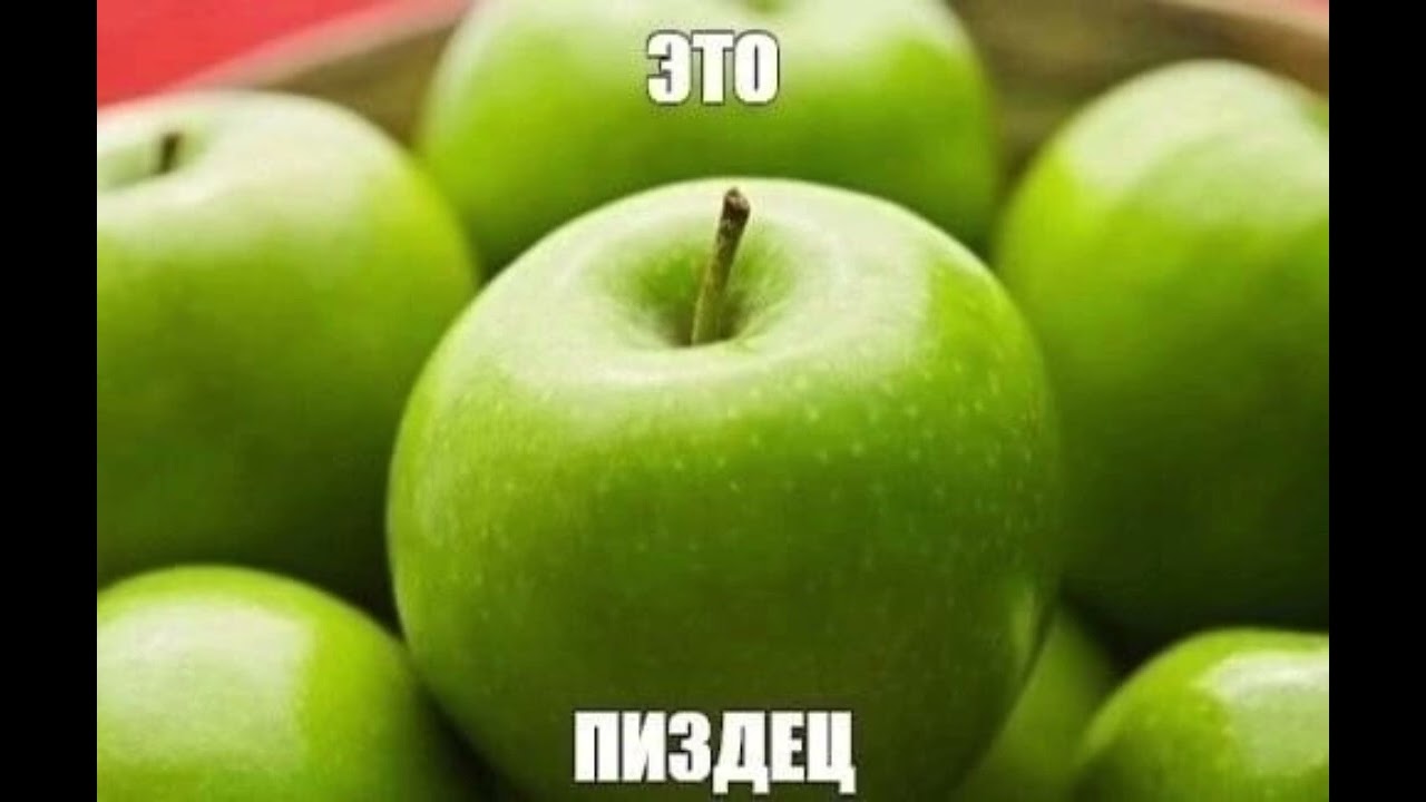 Ленинград - выборы