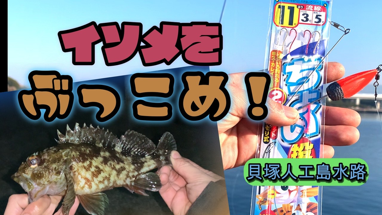 ブッコミ釣りで記録更新！【貝塚人工島水路】