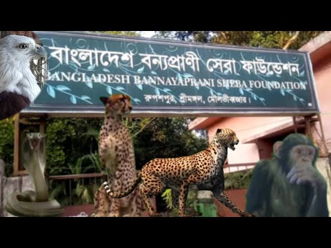 Zoo of Sitesh Babu,সীতেশ বাবুর চিড়িয়াখানা চাইলে ঘুরে আসতে পারে পারেন। Zoo of Sitesh Babu,সীতেশ বাবুর চিড়িয়াখানা চাইলে ঘুরে আসতে পারে পারেন।