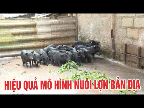 Video: Cách nạp tiền vào thẻ Sberbank tiện lợi