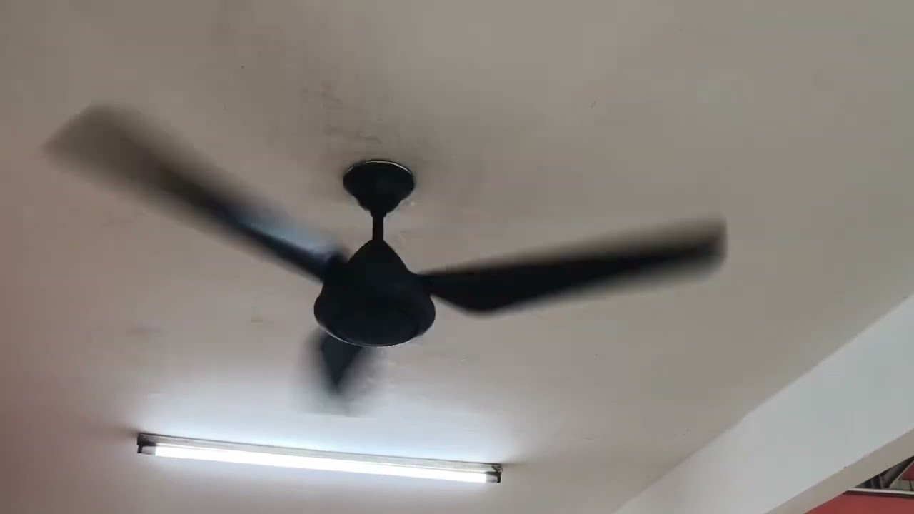Electric Fans in market