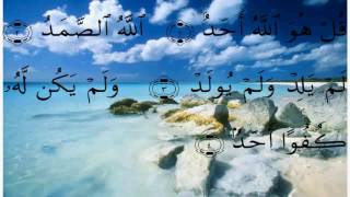 ШЕЙХ АЛИ АЛЬ - ХУЗАЙФИ