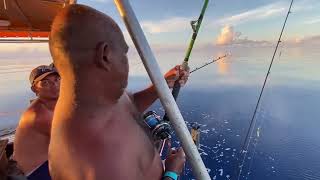 Strik3 Hammer Shark - Spratly Island