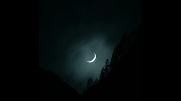 سورة التوبة من آية 19 إلى 33