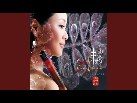 梦回鄂尔多斯