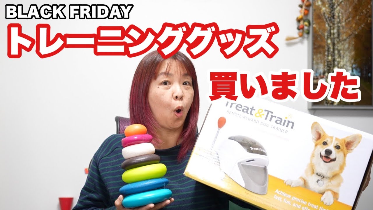 犬のトレーニングの相棒 【Treat&Train】 Amazon black Fridayに乗って
