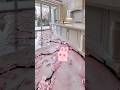 高級フロアを1つだけ選択