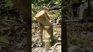 Amazing Chainsaw Skills