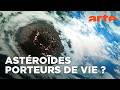 Origine de la vie : impacts d'astéroïdes 🌍