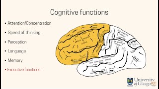 Positive Minds: Executive function