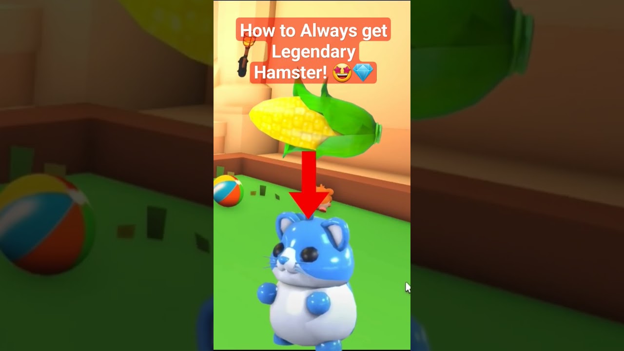 How to ALWAYS get a Legendary Diamond Hamster in Adopt Me Pet shop Update! 🤩💎✨️