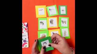 VOCABULARIO VISUAL- PRIMERO BÁSICO